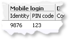 Mobile Login